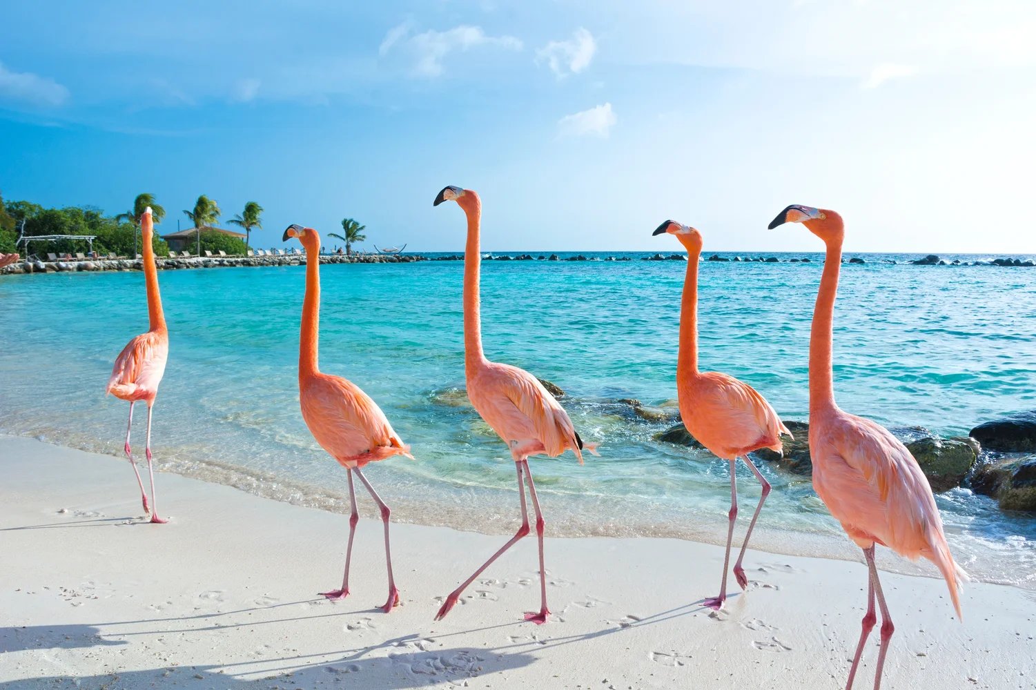 Aruba