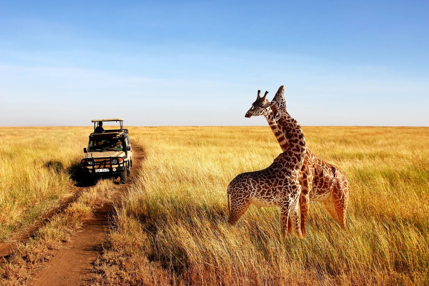 Arusha, Tanzania