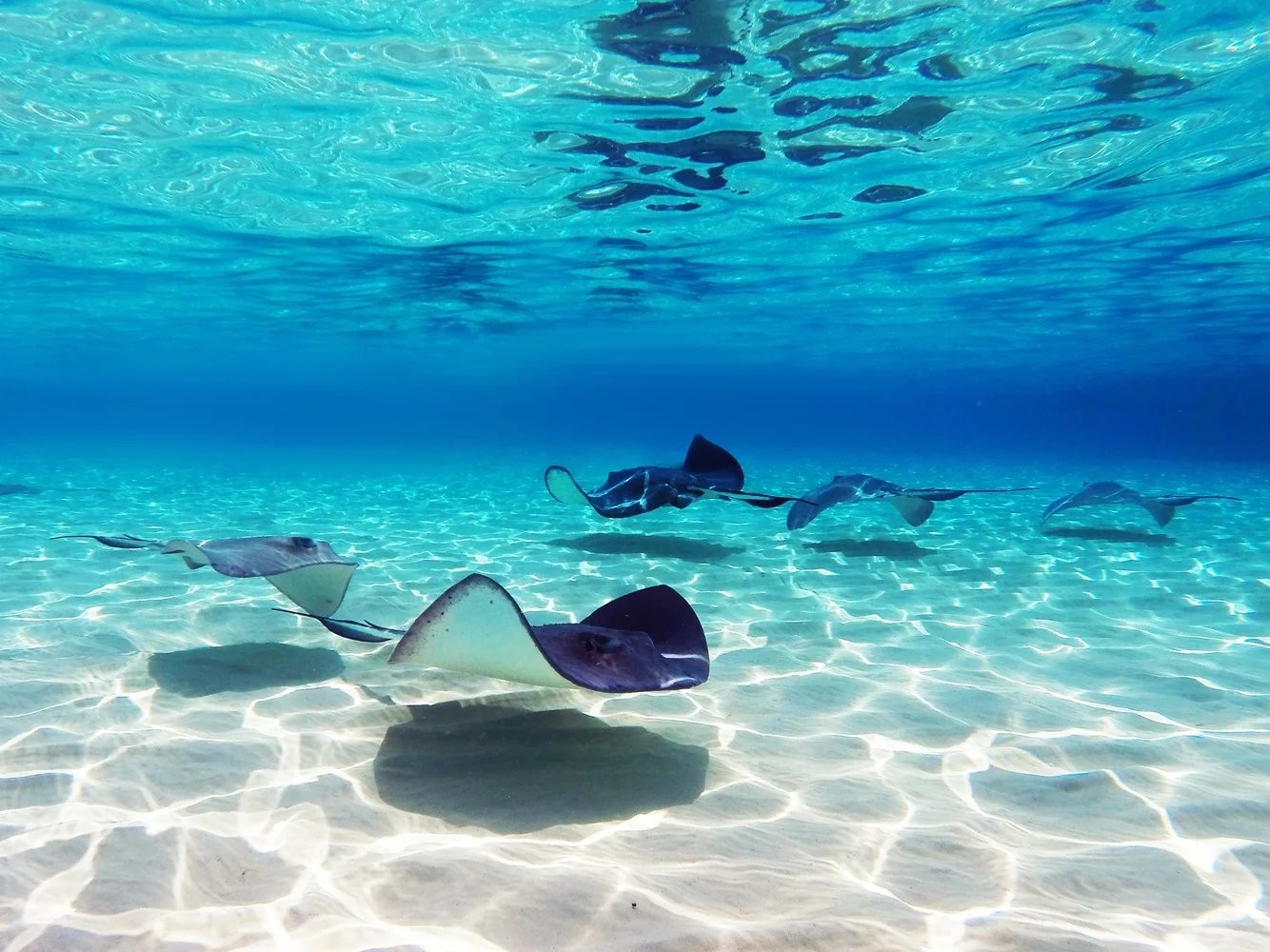 Cayman Islands