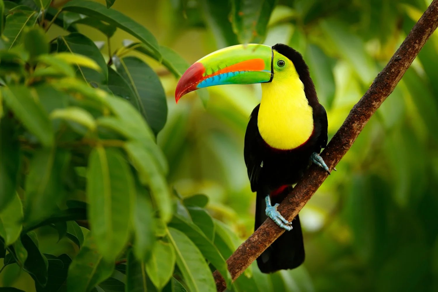 San José, Costa Rica