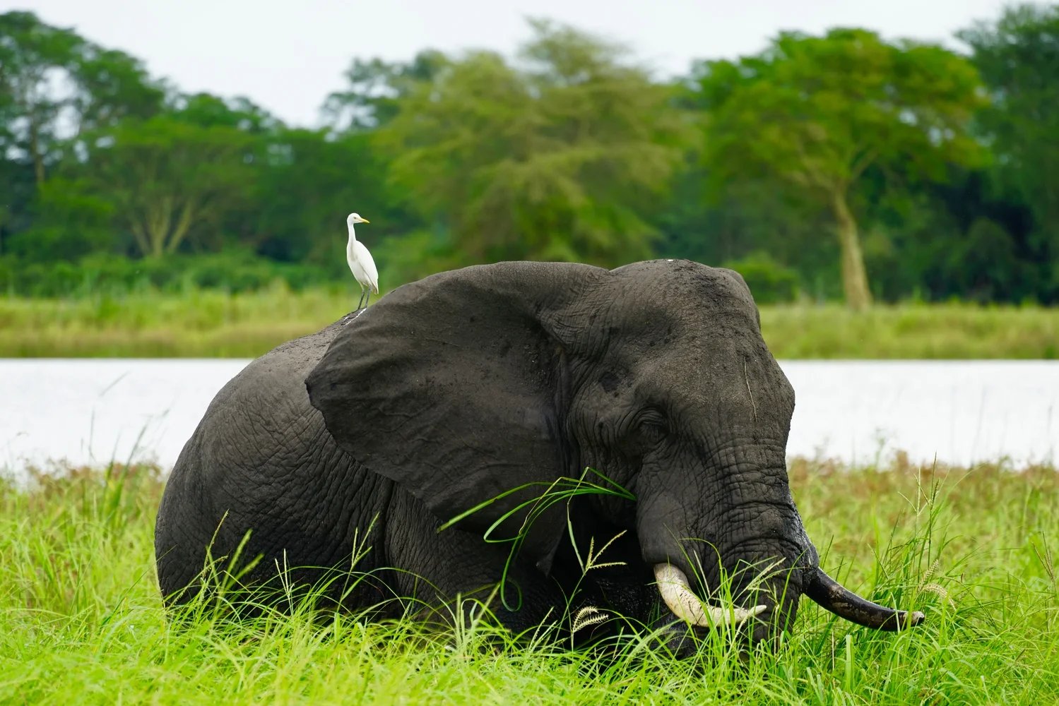 Lilongwe, Malawi