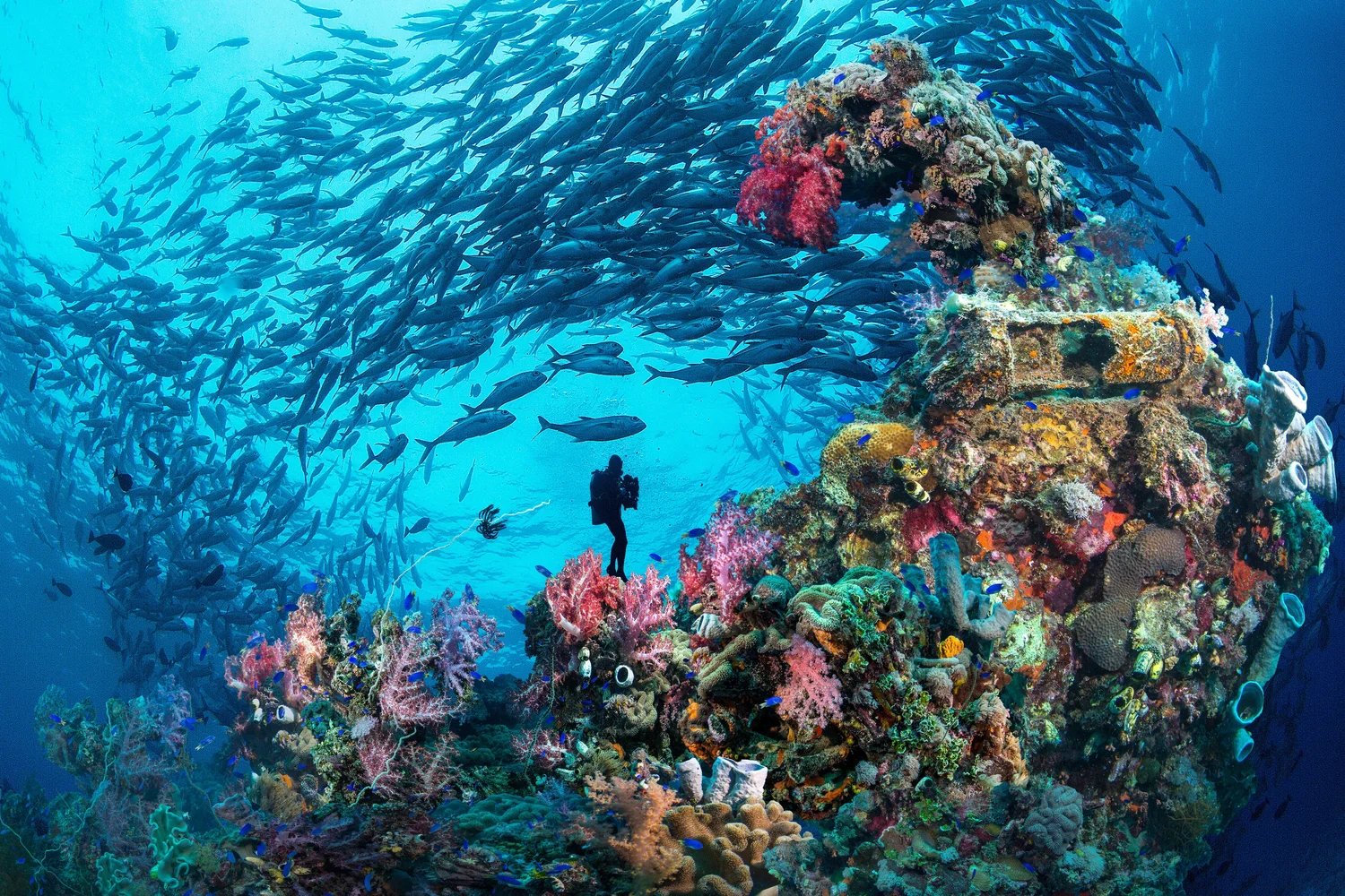 Pohnpei, Micronesia