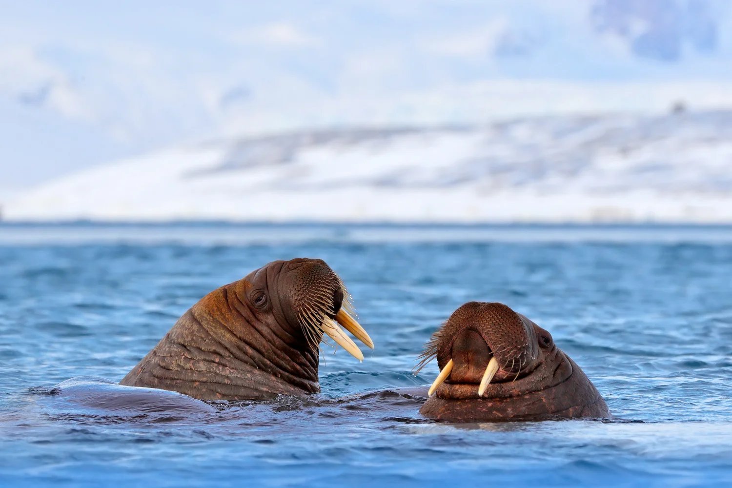 Svalbard, Norway