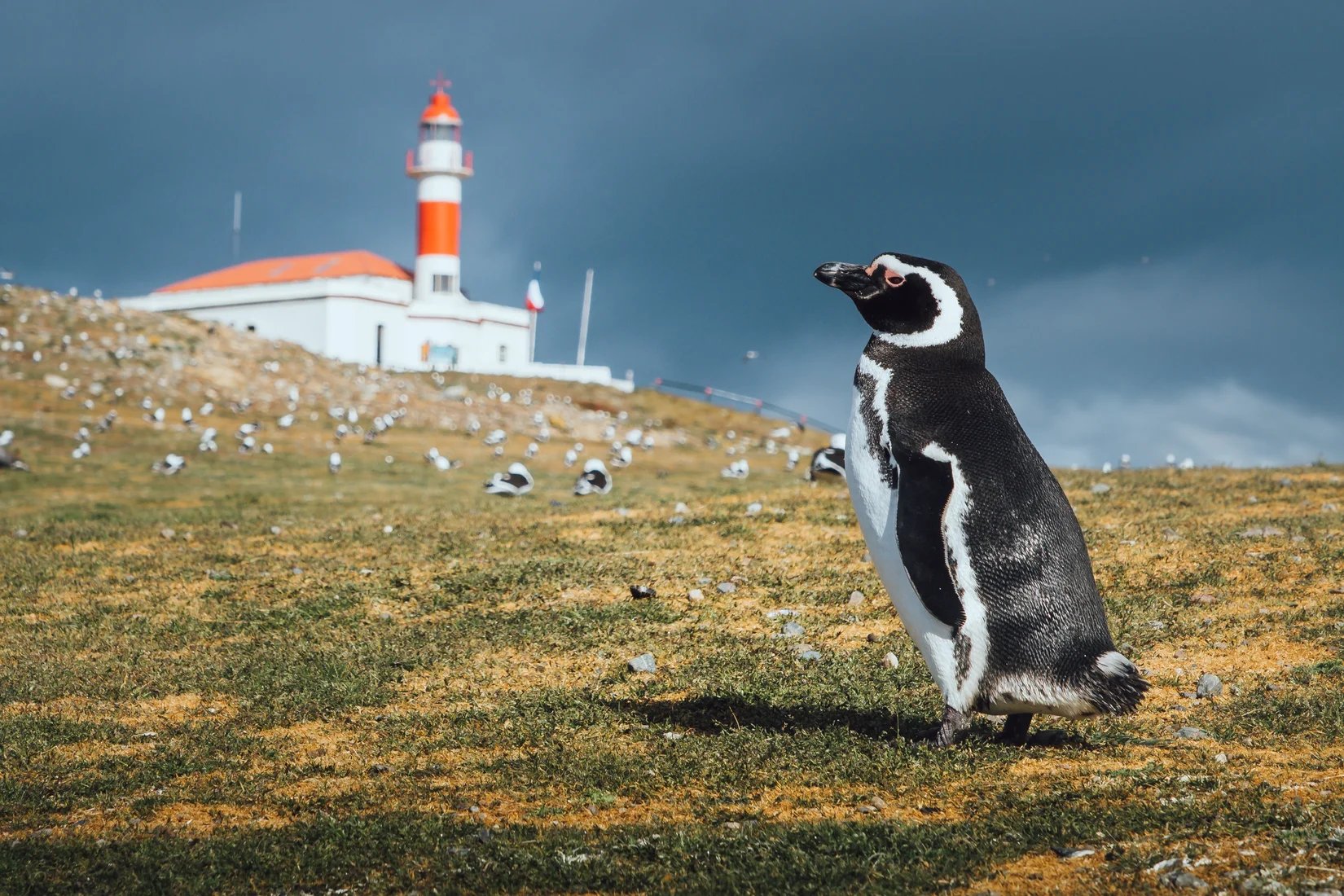 Punta Arenas, Chile