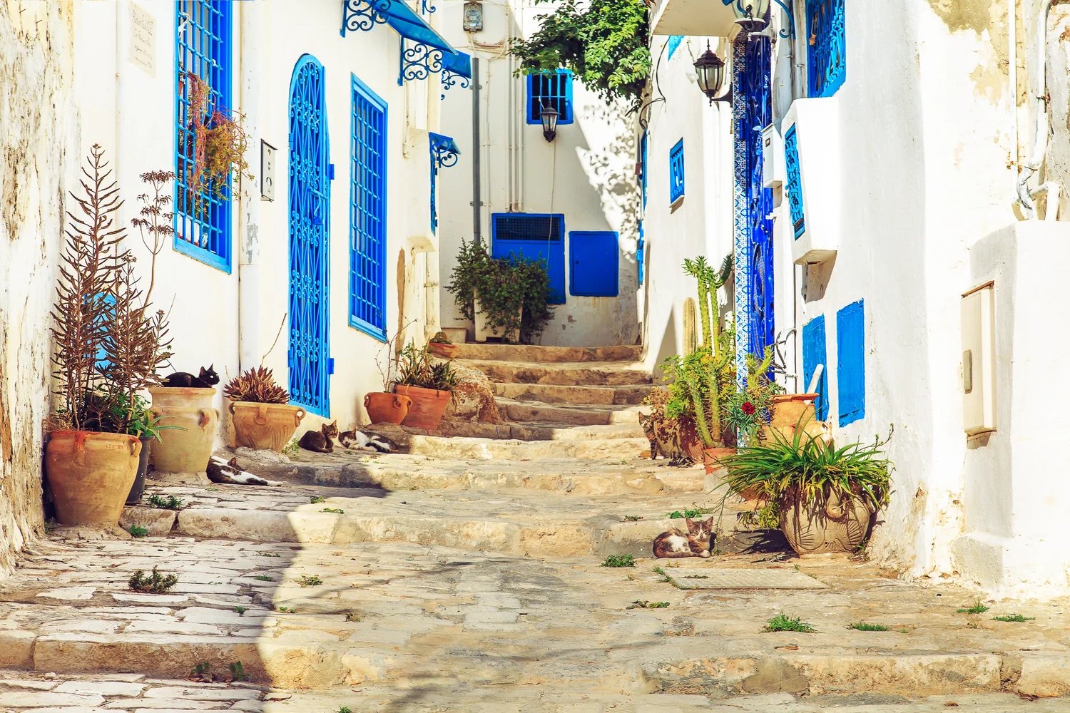 Tunis, Tunisia