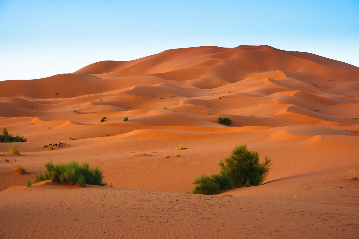 Dakhla, Western Sahara