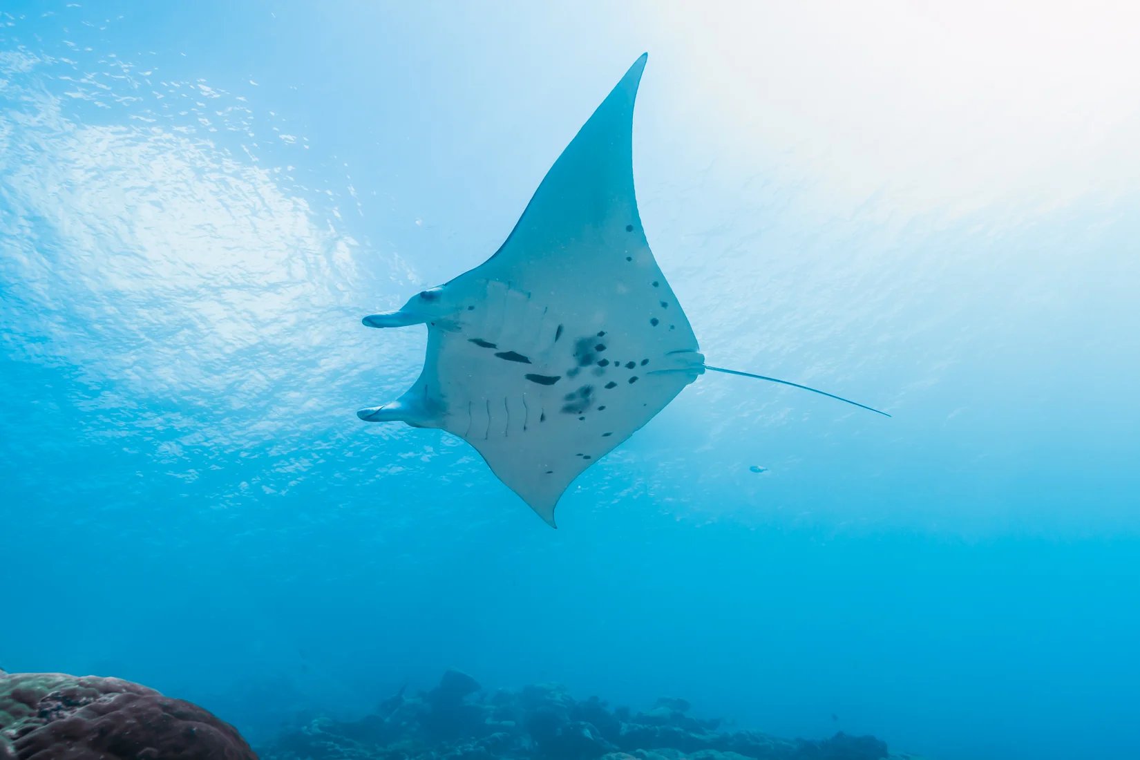 Yap, Micronesia
